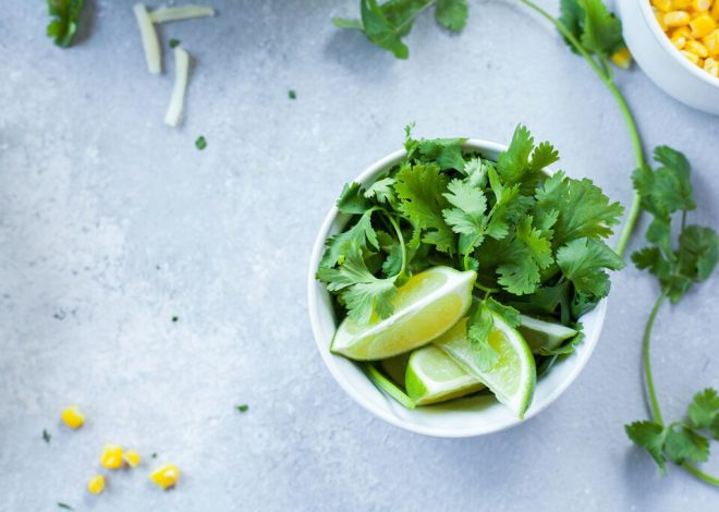 O lo amas o lo odias: la ciencia explica por qué el cilantro te sabe a jabón (y la culpa es de tus genes)